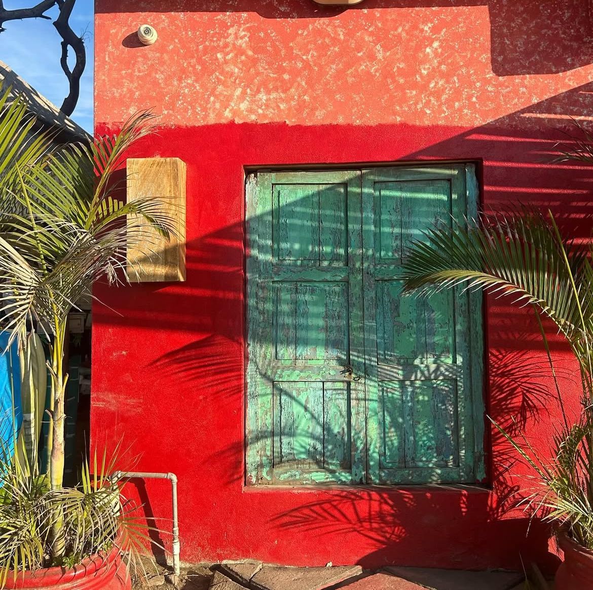 Marrakech, Maroc : Le Paradis des Tapis et Artisanat