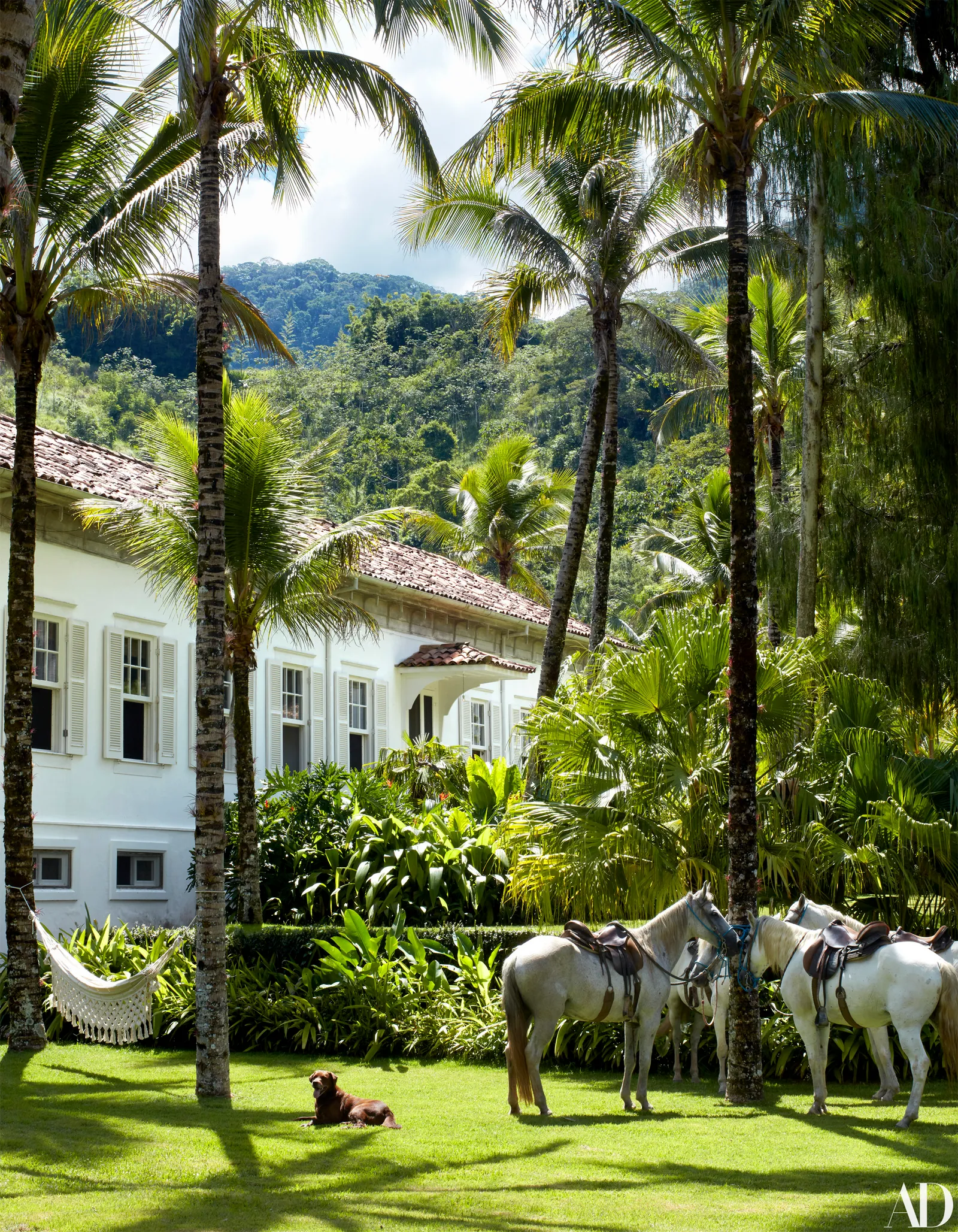 LENNY KRAVITZ'S BRAZILIAN FARM COMPOUND