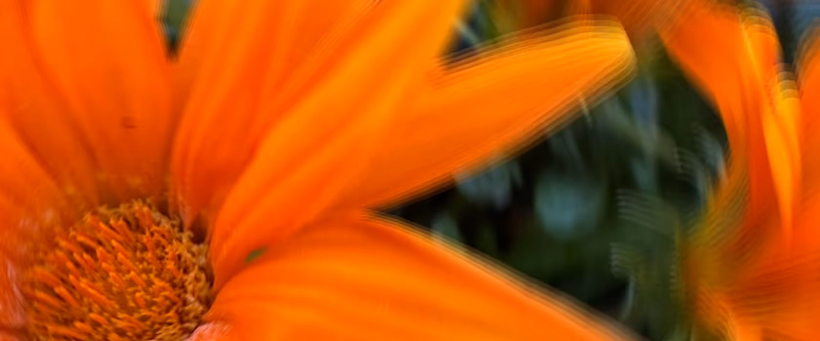 Ariyana Studio: Immersive Digital Experiences for Global Brands A multi-awarded studio specializing in interactive design and brand growth. Helping clients raise $200M+ since 2006. Partner with us to elevate your digital presence.