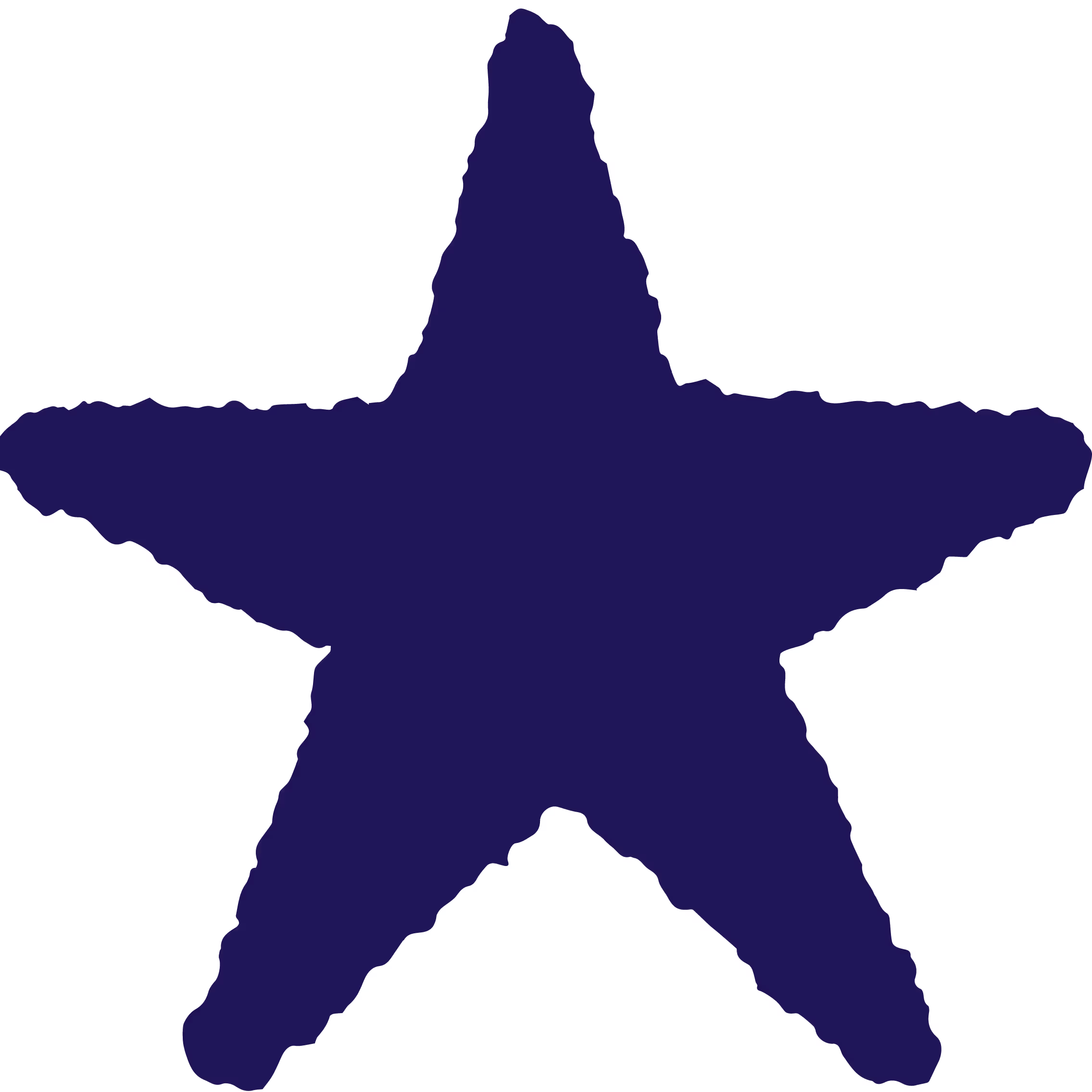 Star icon