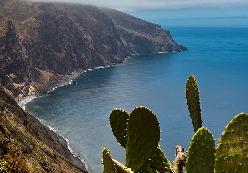 Cactus en premier plan avec une vue sur une baie entourée de falaises rocheuses sous un ciel partiellement nuageux.