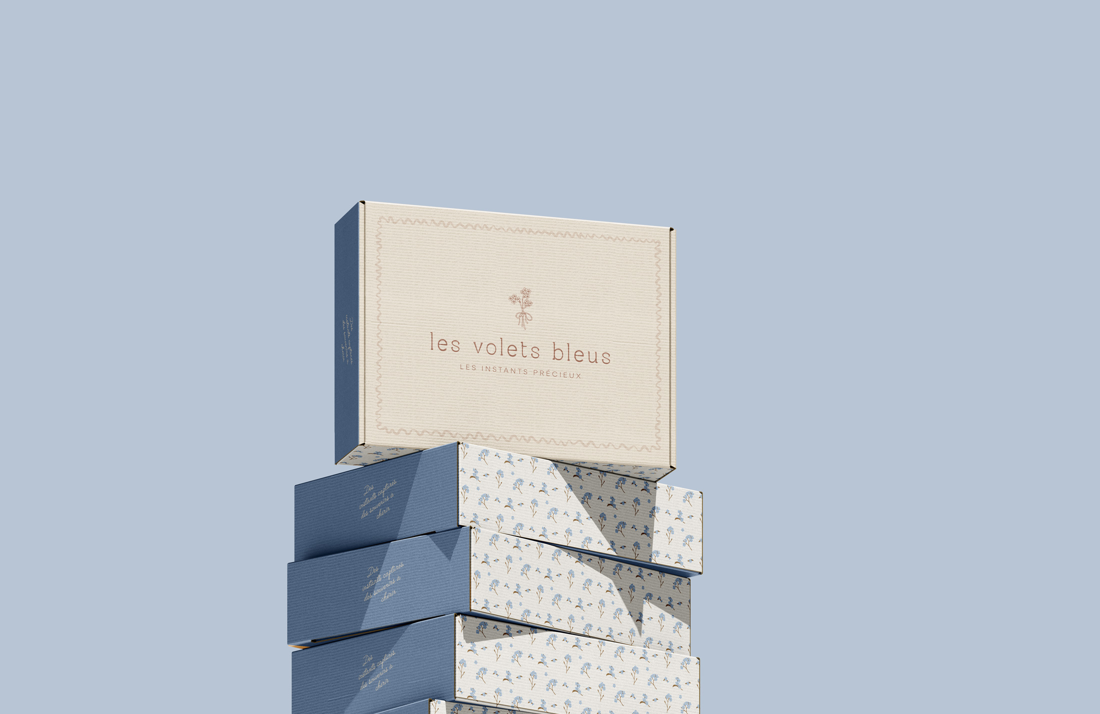 Design de page d'accueil de site web pour Les Volets Bleus