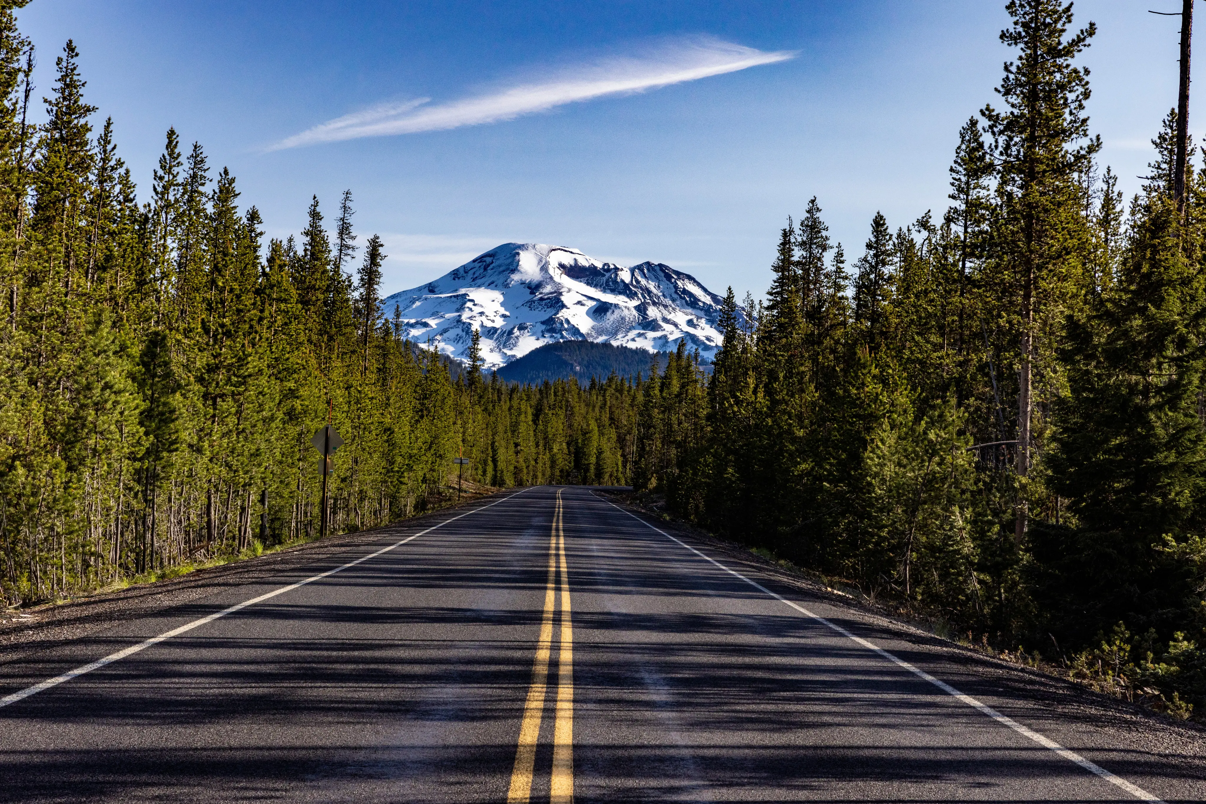 Empty paved road lined with tall pine trees leading to a snow-covered mountain under a clear blue sky.