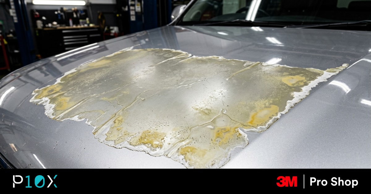 Redo PPF Malaysia inspection of yellowing paint protection film on a silver SUV bonnet