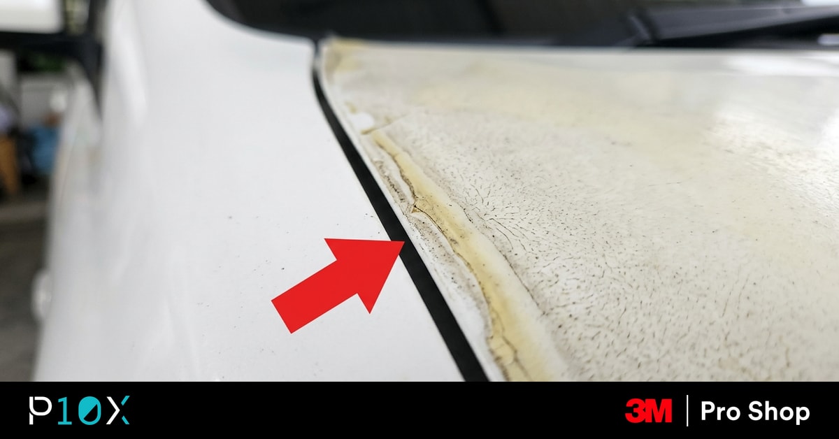 Used car PPF Malaysia decision tree thumbnail showing a white MPV with aged paint protection film and a red arrow pointing at the bonnet edge.