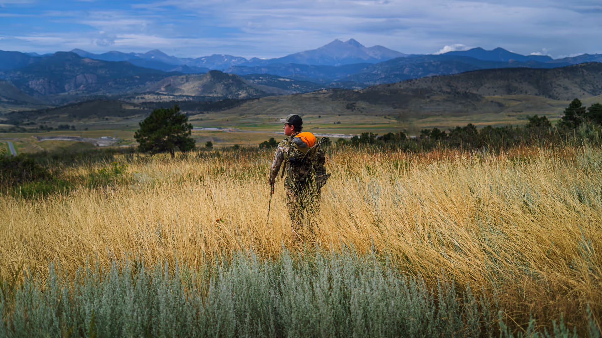 Person wearing camouflage hiking through tall grass with mountains in the background under a partly cloudy sky.