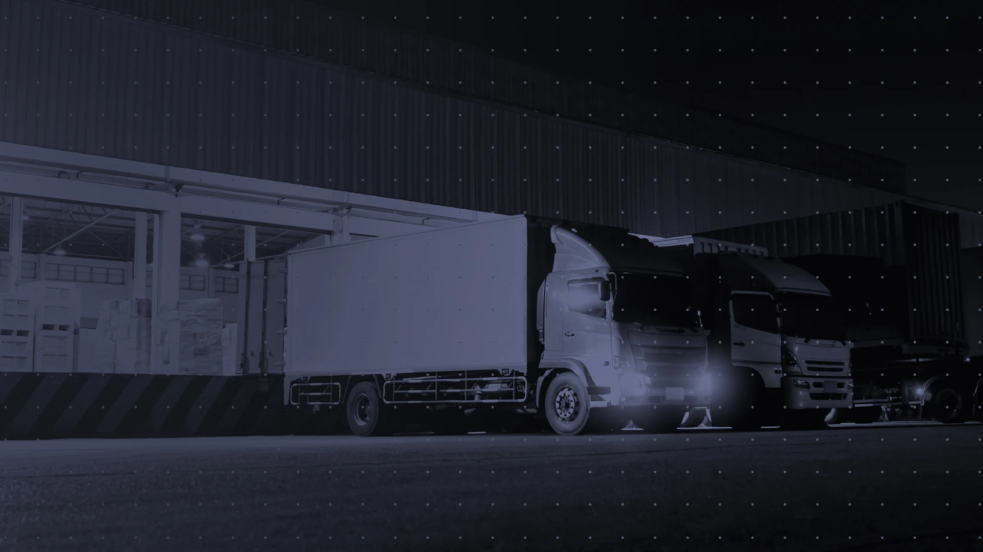 Understand organised crime operations