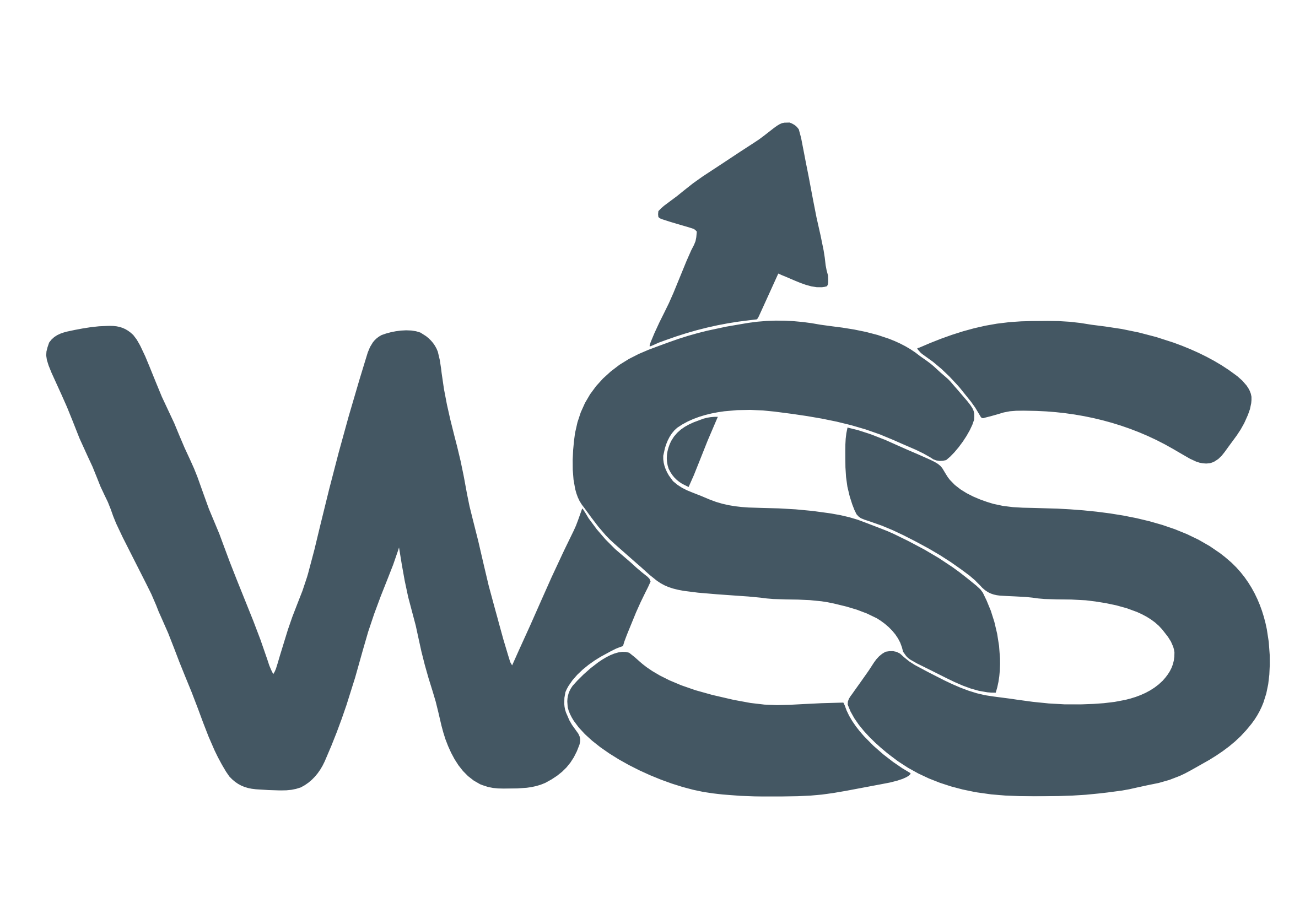 Weber Strategic Solutions logo blue 