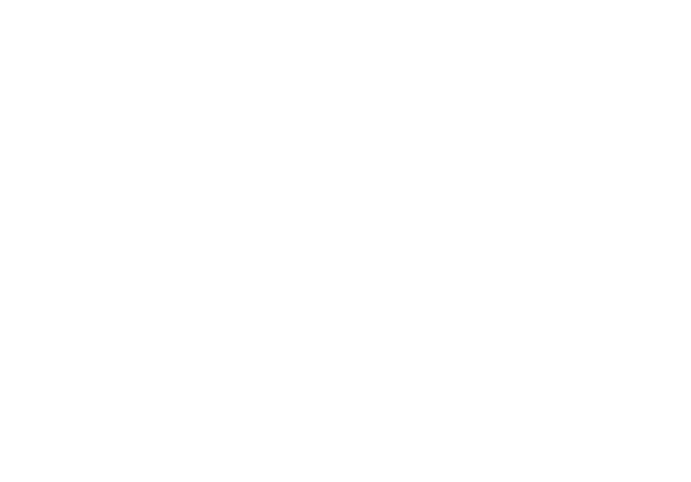 WSS logo white clear background