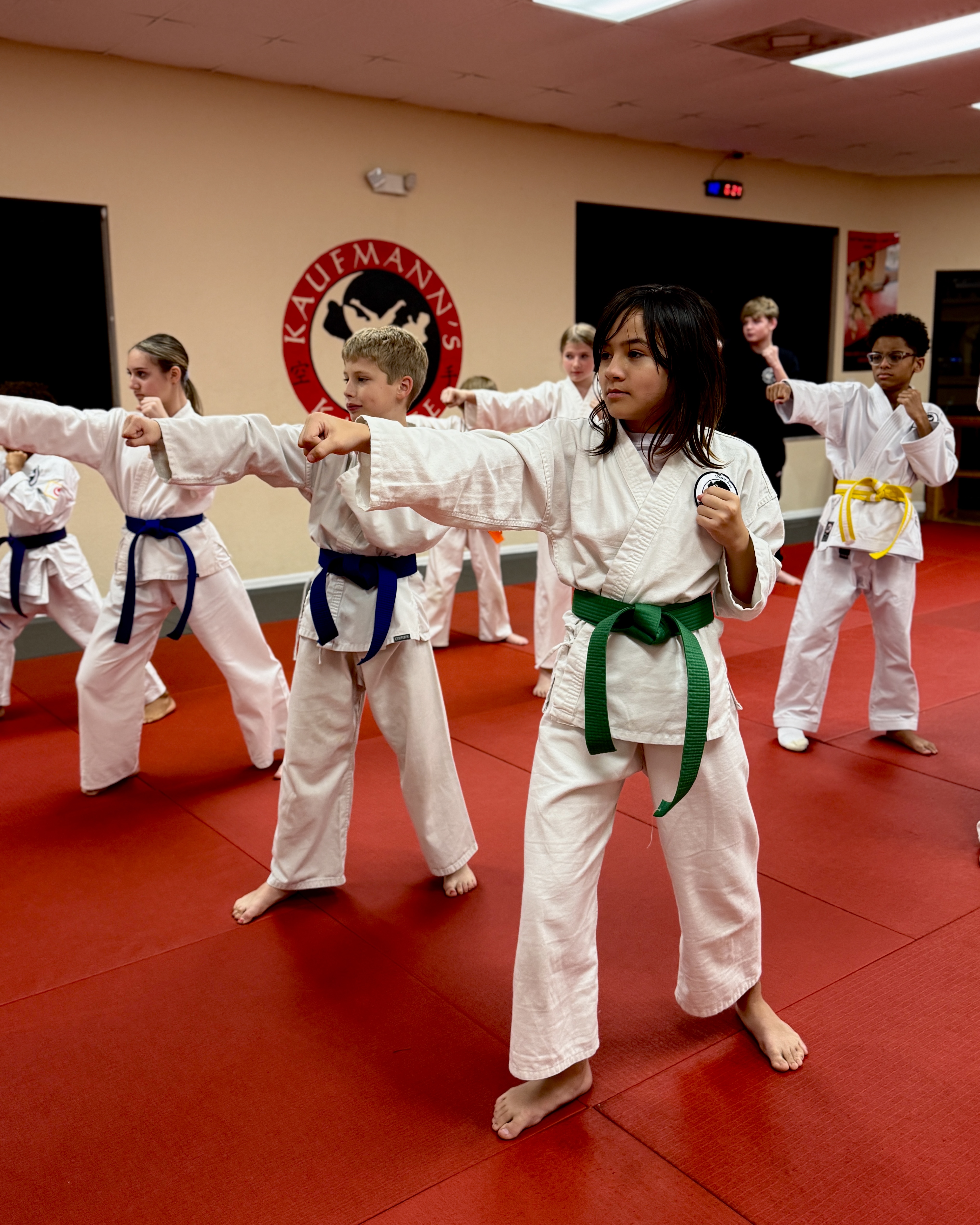 Improves fitness (strength, flexibility, endurance, coordination)