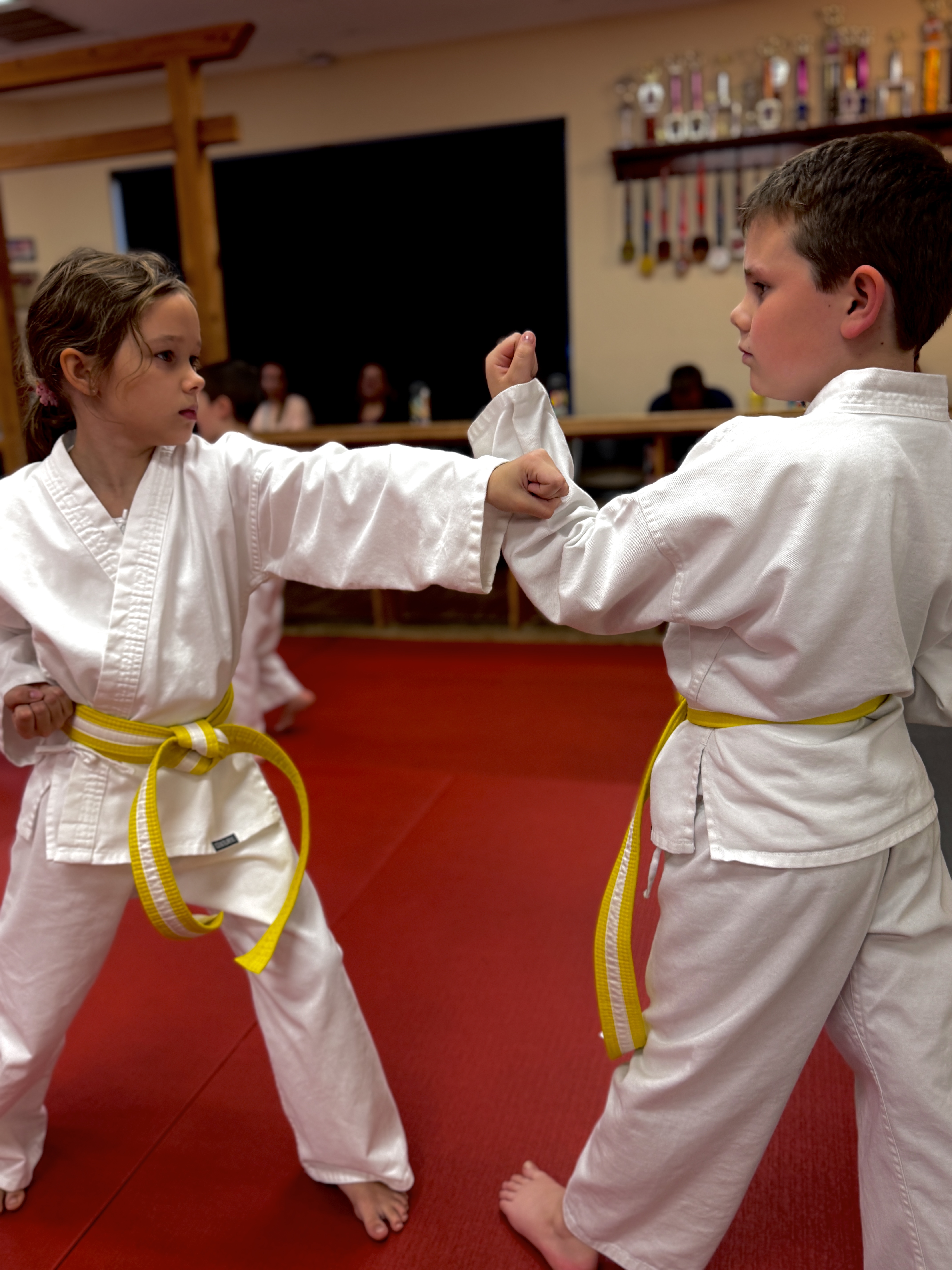 Youth Karate 7-11 Years Old