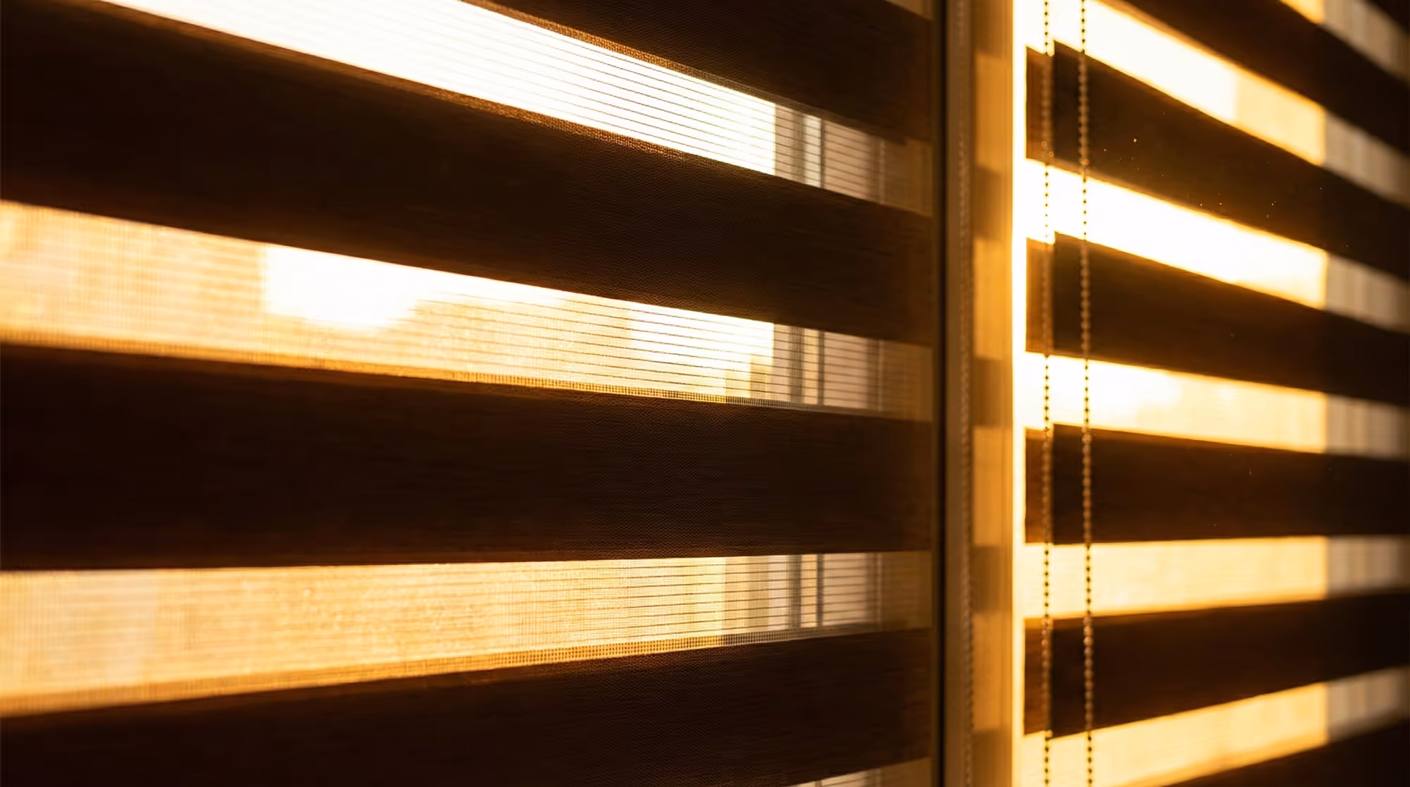 Sunlight shining through partially closed horizontal blinds with a pull chain.