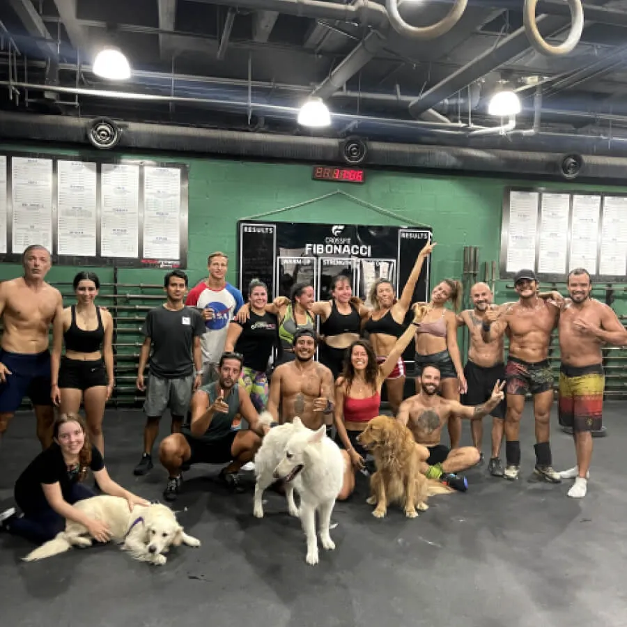 Group of muscular people posing inside a CrossFit gym with three dogs on the floor in front.