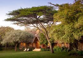 Lewa wilderness exterior