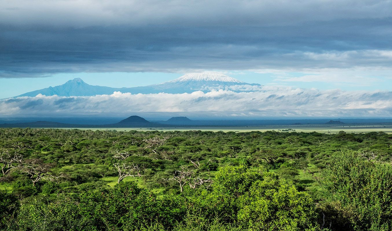 A collection of photographs showcasing the Great Migration's key moments, including river crossings and massive herds.