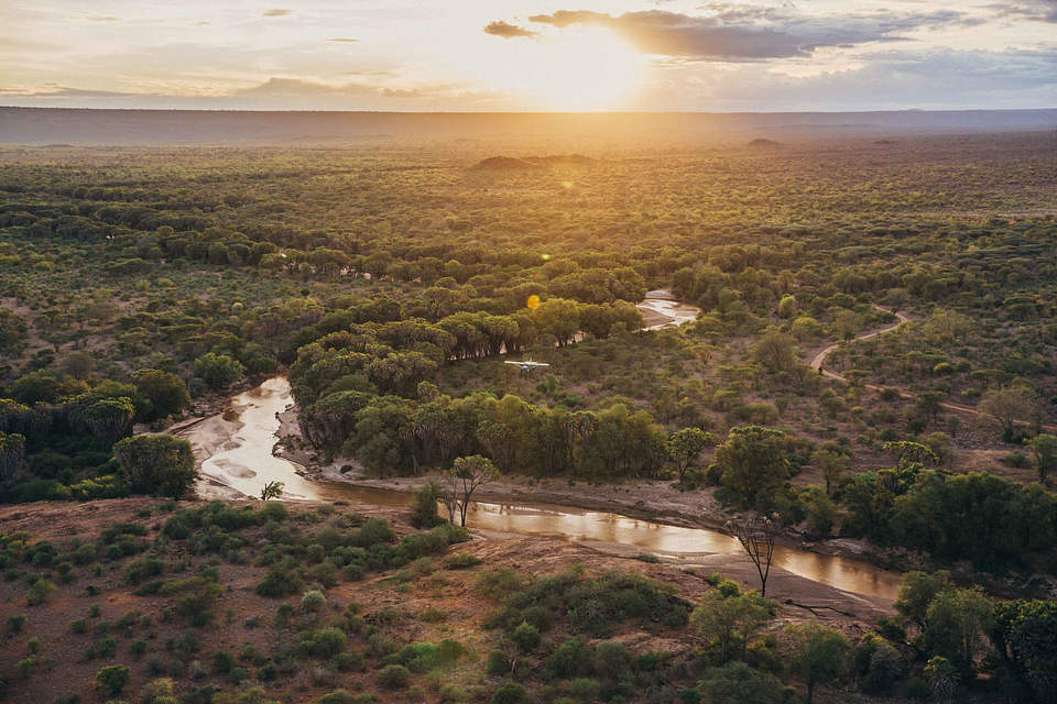 A collection of photographs showcasing the Great Migration's key moments, including river crossings and massive herds.