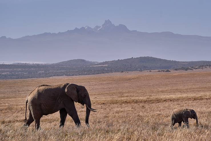 A collection of photographs showcasing the benefits of private conservancies: off-road safari driving, wildlife, and community involvement.