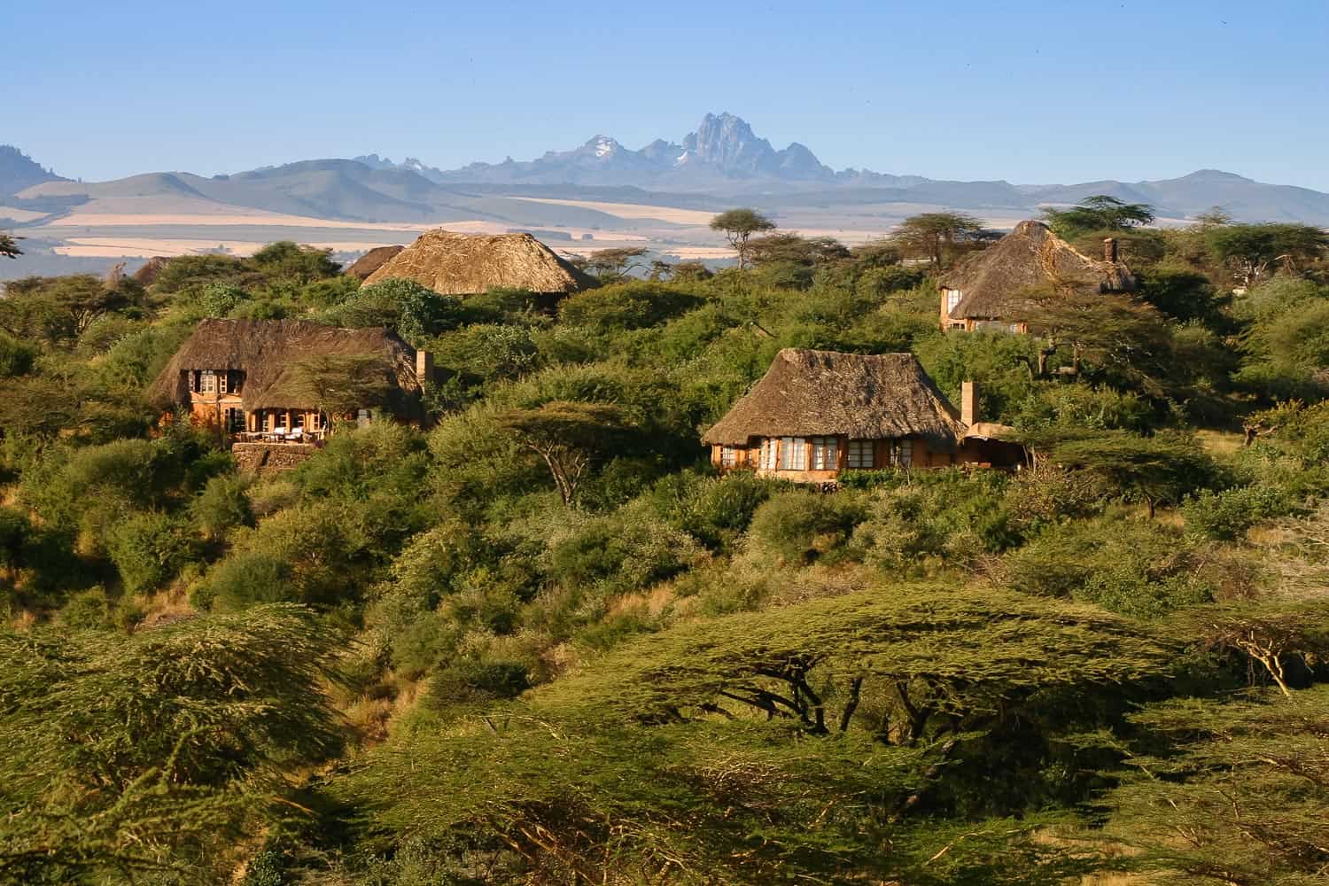 A Private Conservancy is community-owned land leased for conservation. Discover the benefits: low-density tourism, superior game viewing, off-road driving, and direct financial support for local communities.