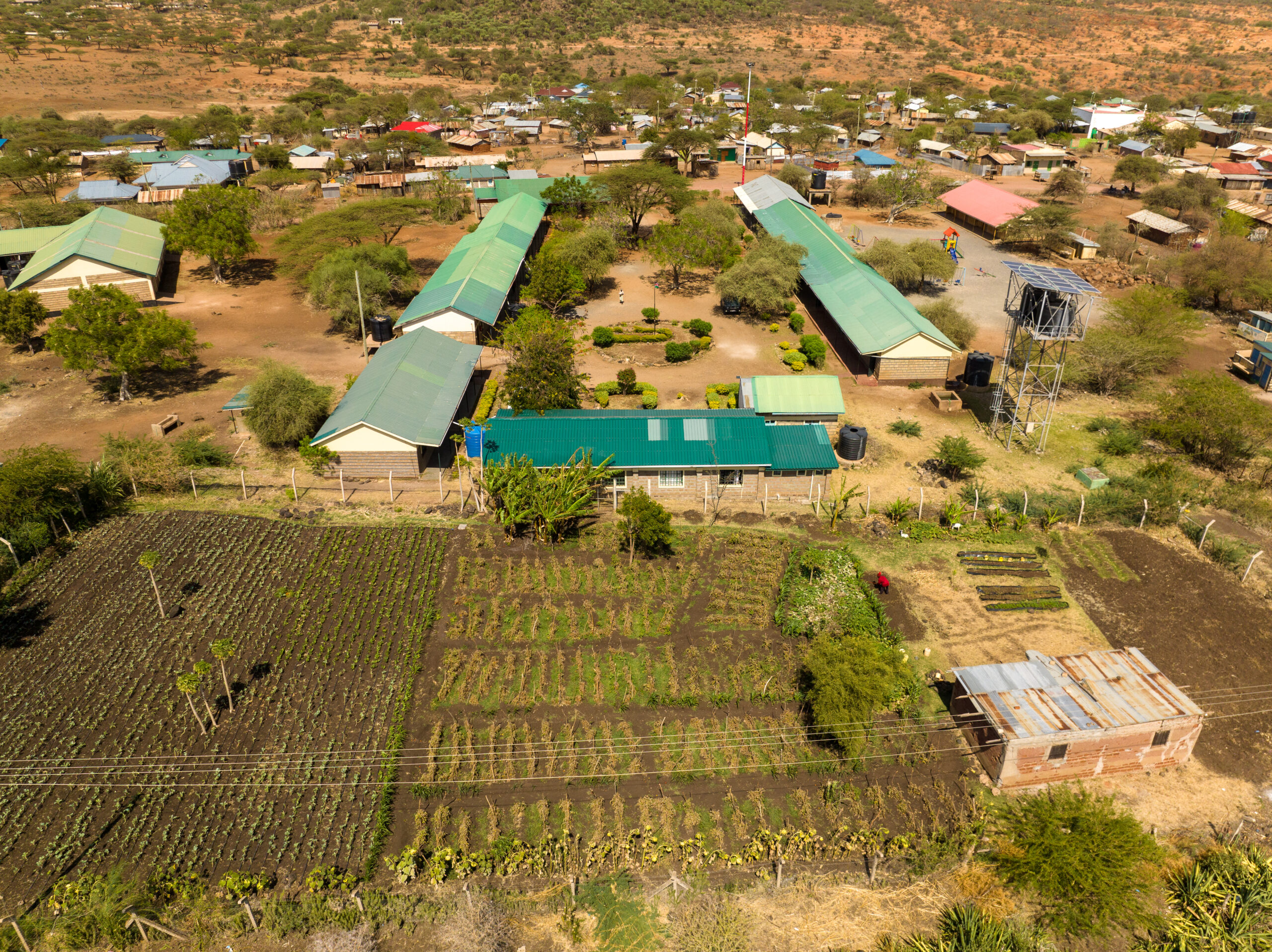 A collection of photographs showcasing the benefits of private conservancies: off-road safari driving, wildlife, and community involvement.