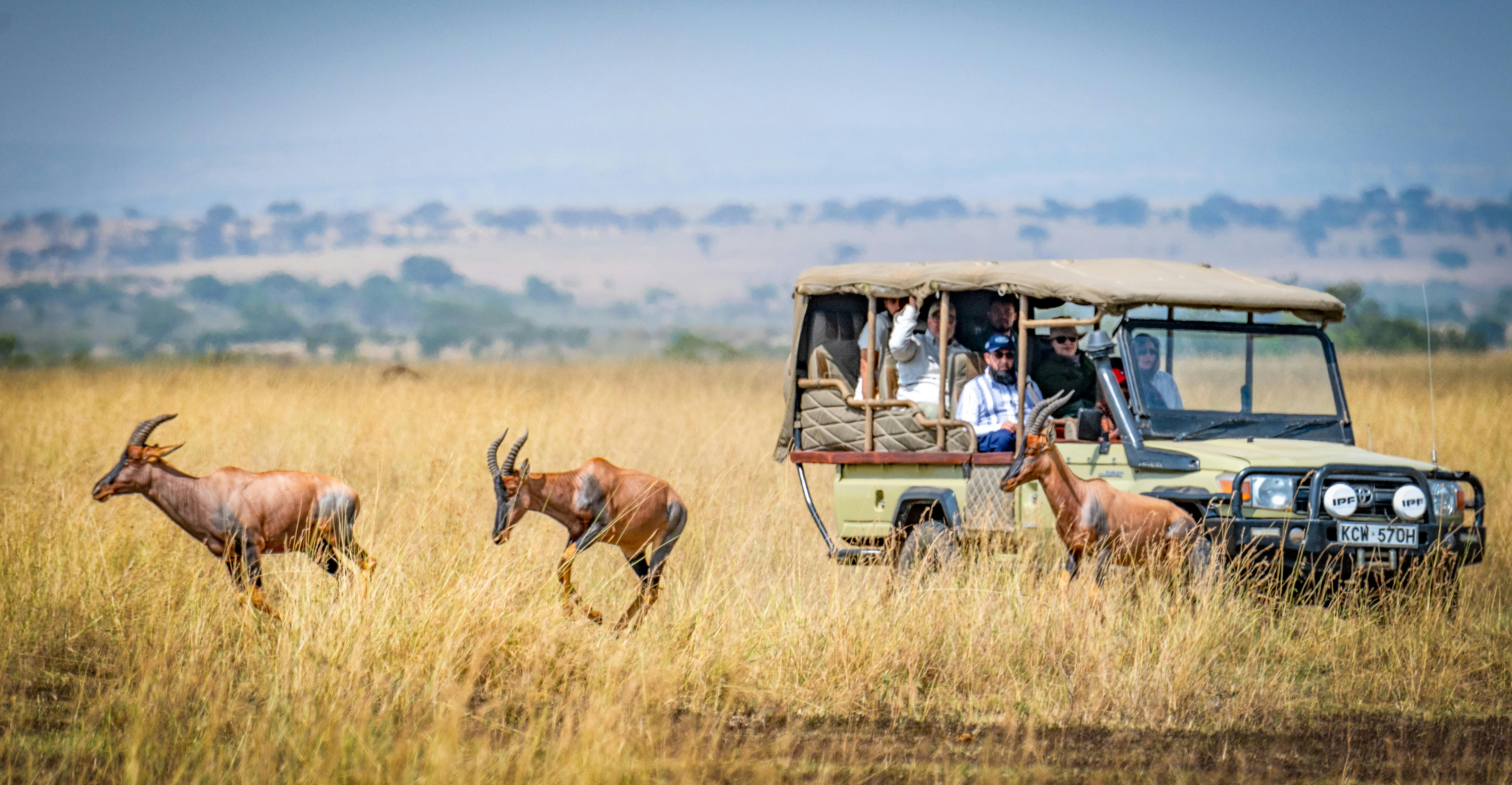 A-safari-vehicle-with-people-looking-at-topi