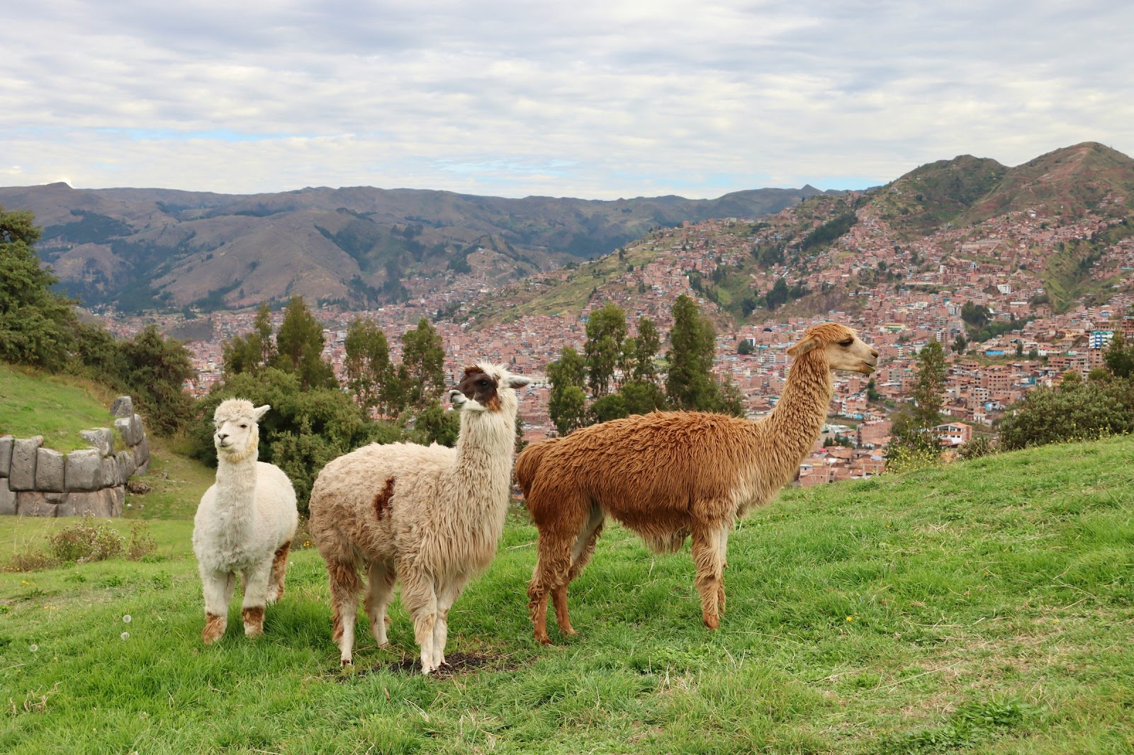 Postcards from Peru