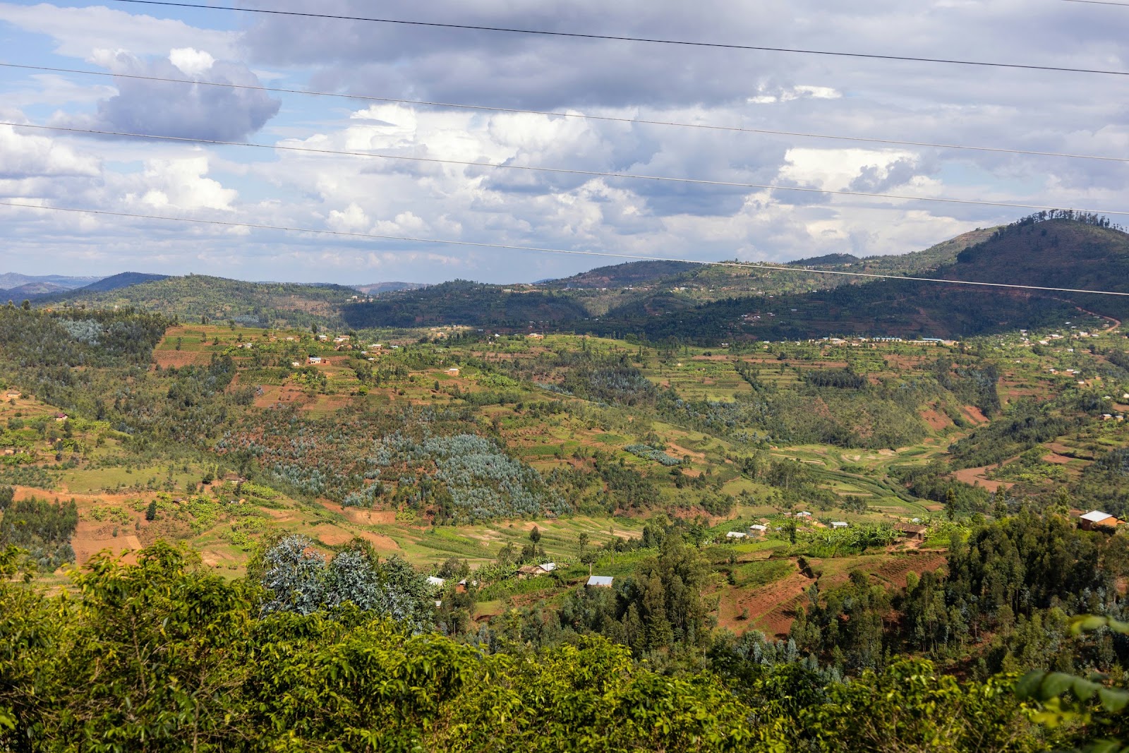 Gorilla trekking in Rwanda — photo 1