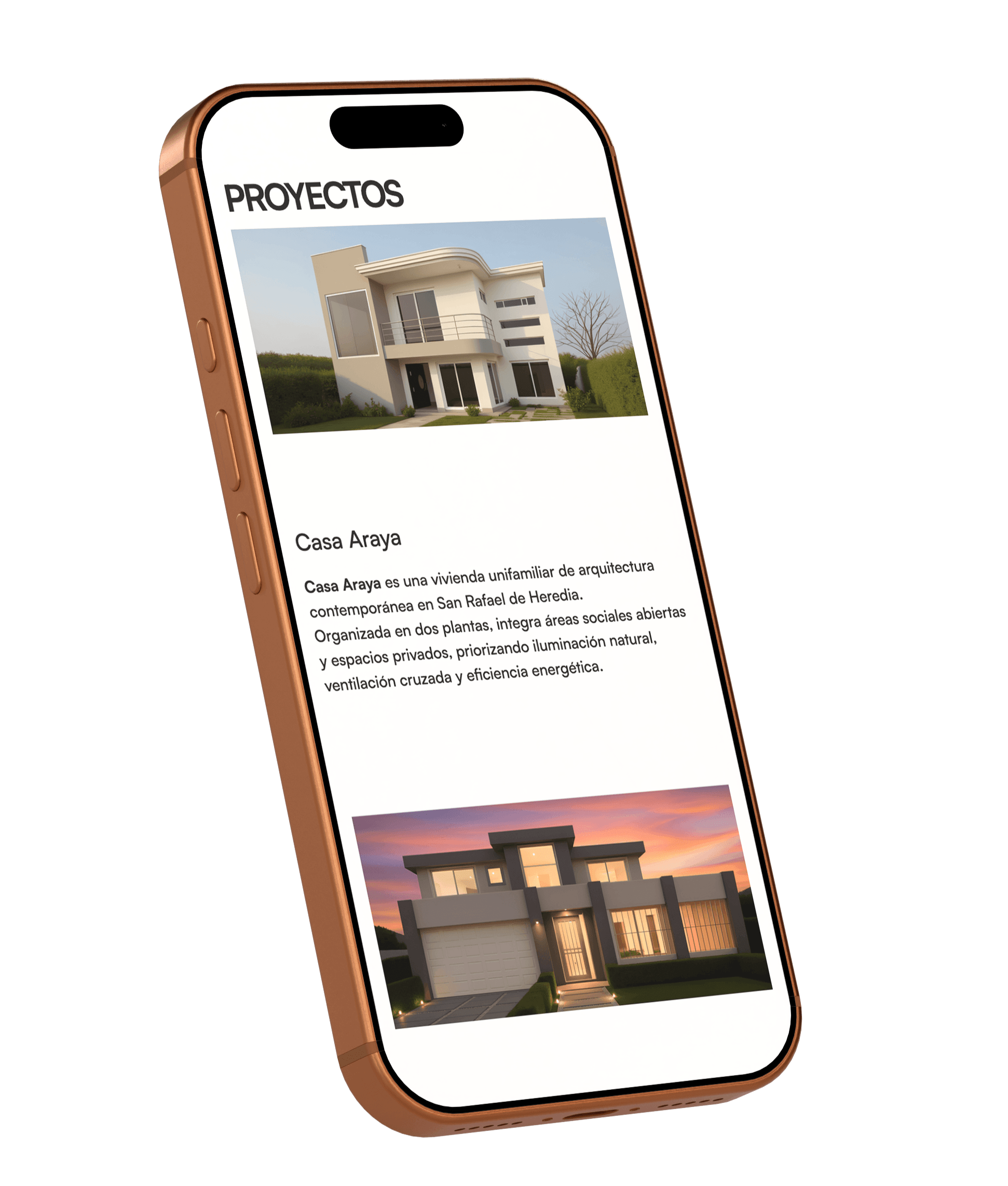 Assets de Social Media