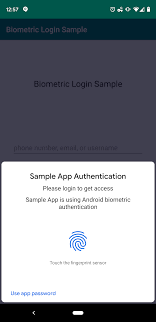 Example of biometric form login