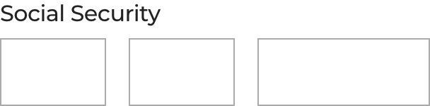 SSN Field in 3 Boxes