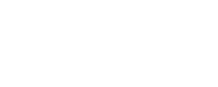 CyberTwin logo