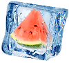 Water melon vector image