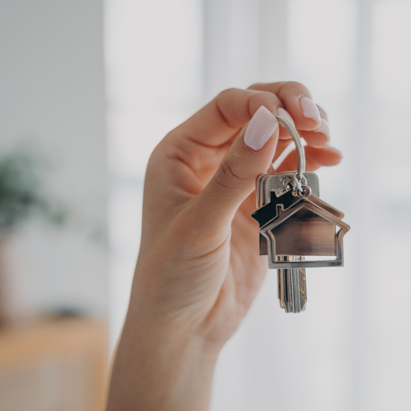 image of cozy study nook (for an edtech)