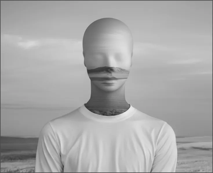 License Single Image