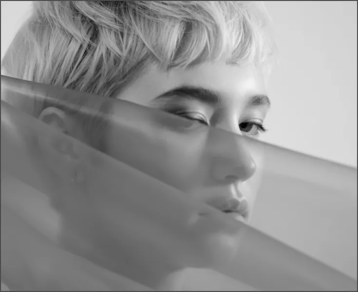 License Single Image