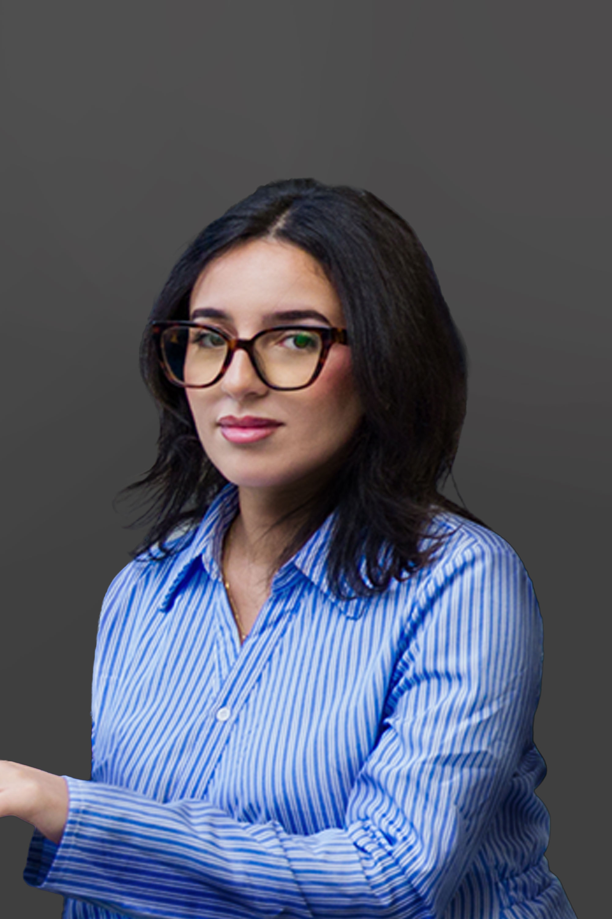 image of an educational seminar in progress (for a veterinary clinic)