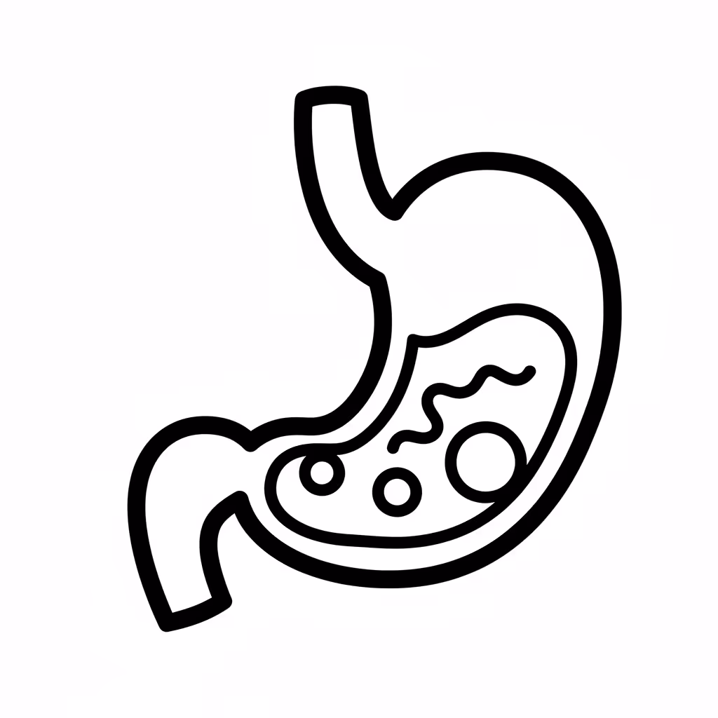 Picture of a printable coloring page showing Stomach, level easy