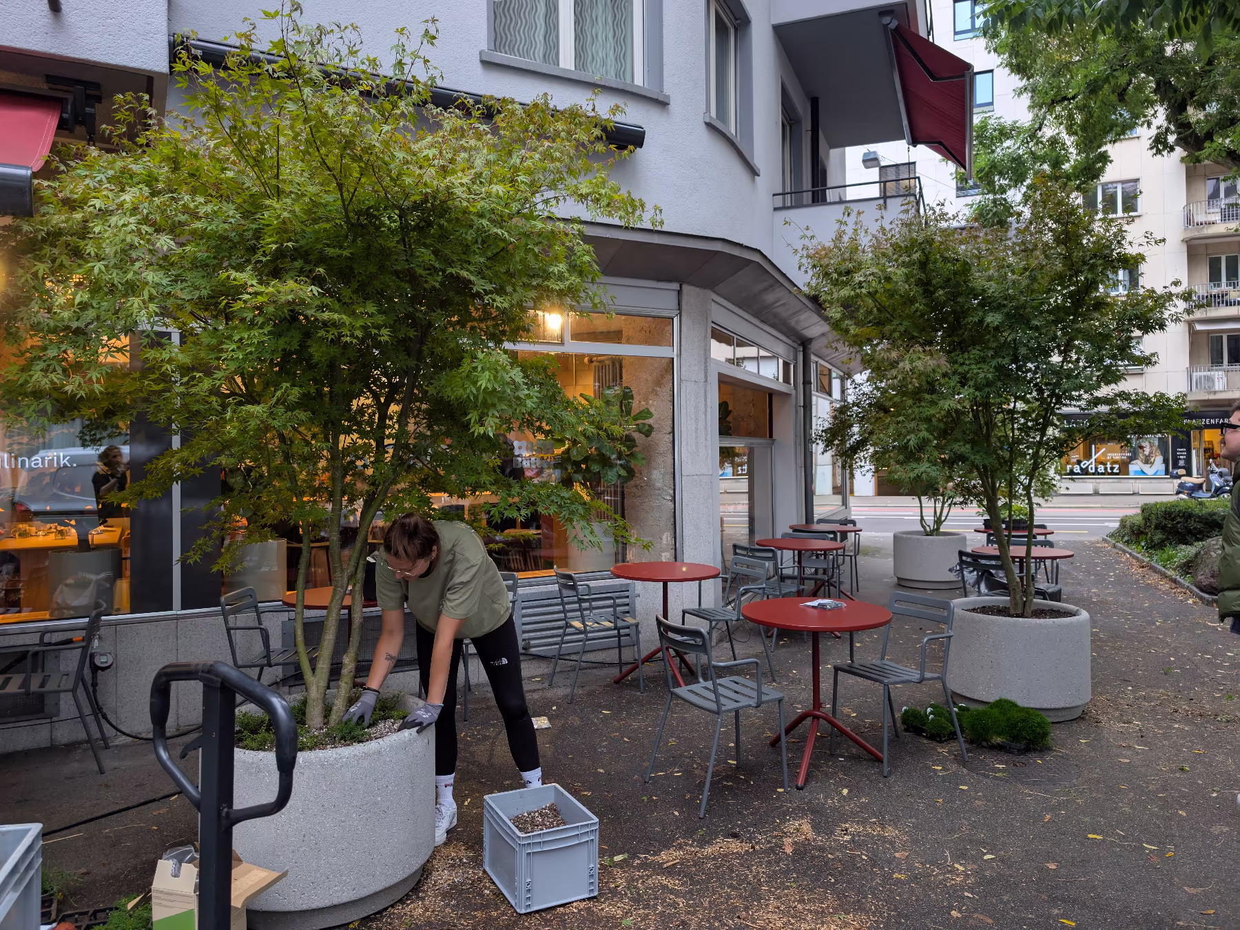 outdoor eingang restaurant mit pflanzen