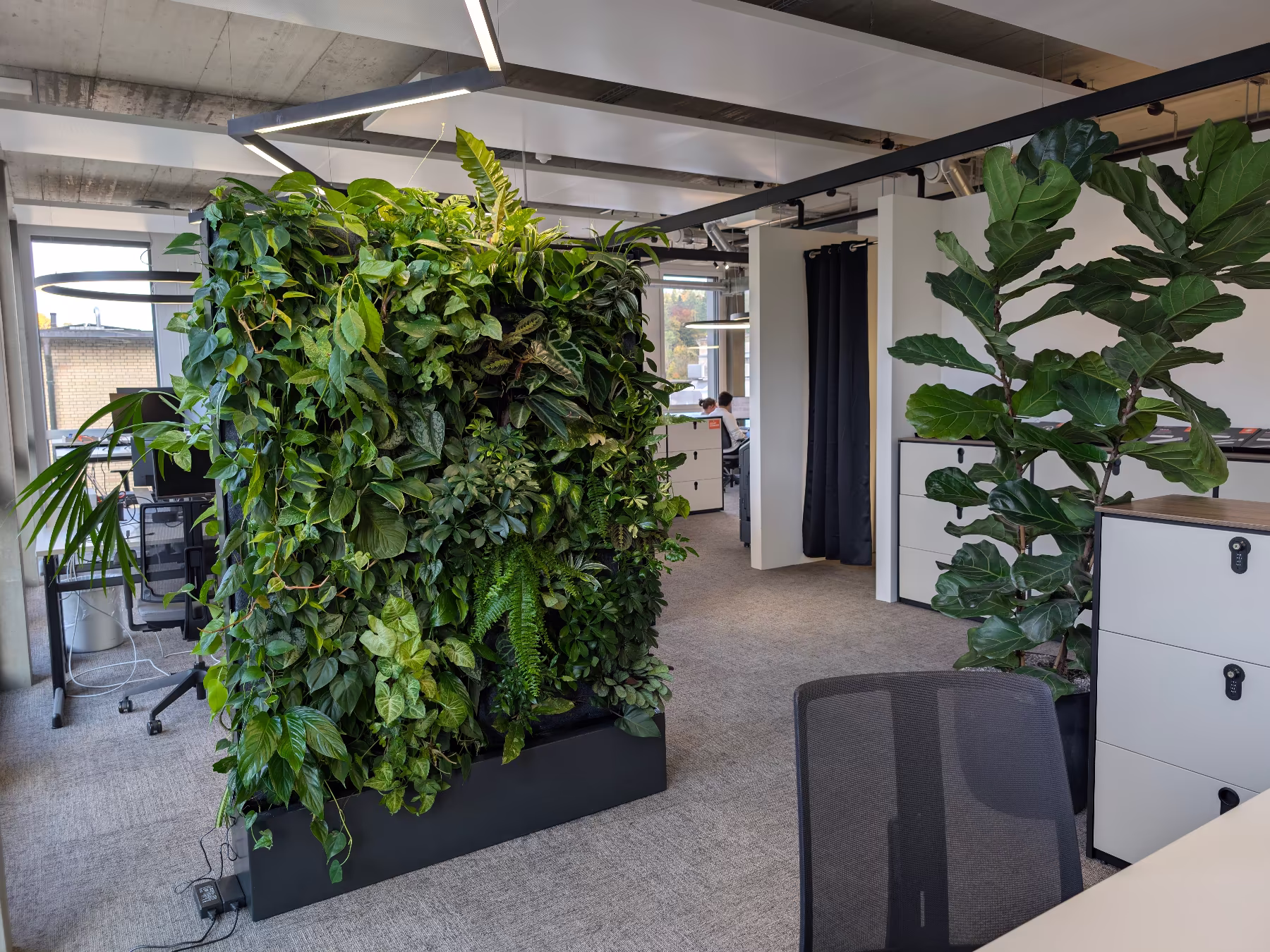 pflanzenwand im modernen gebäude
