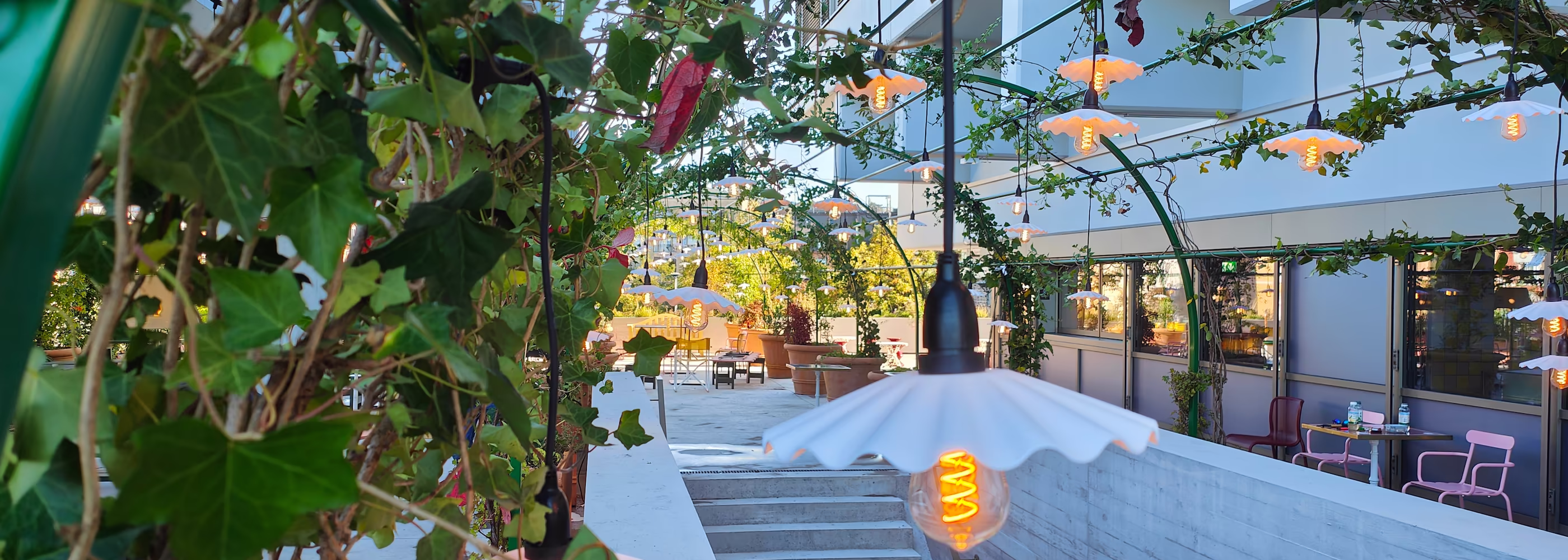 pflanzen auf terrasse outdoor