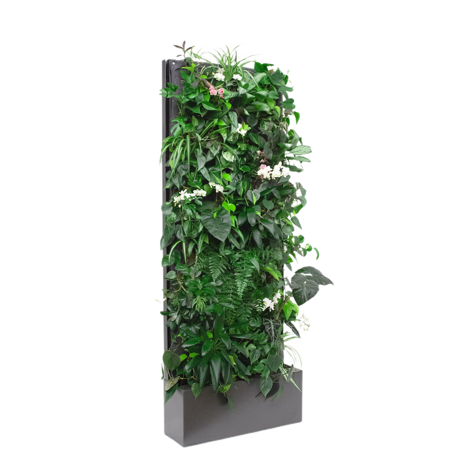 pflanzenwand pflanzen am metallrahmen