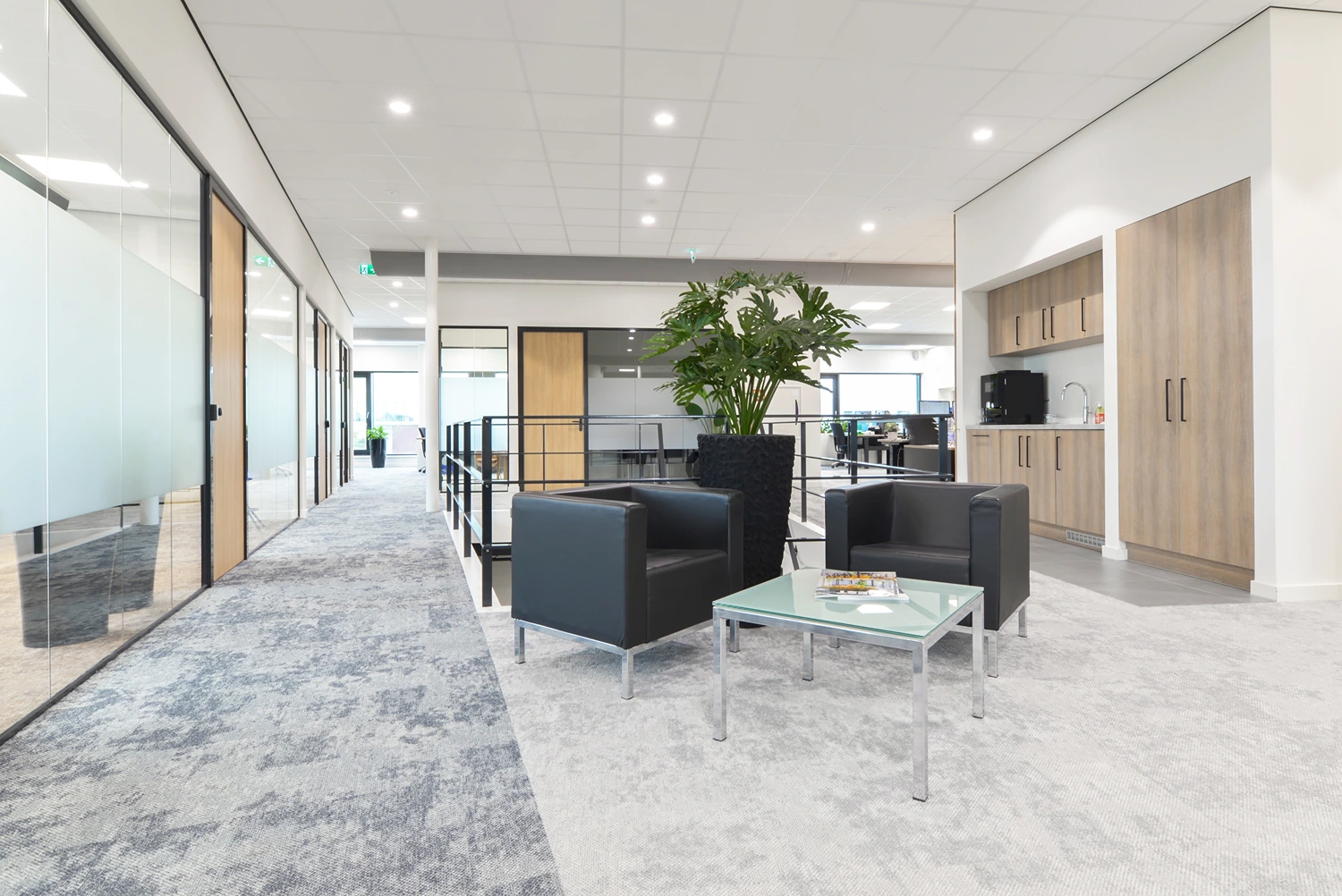 DGNB Danmark Renovering og Nybyggeri version 2025 1.0.0