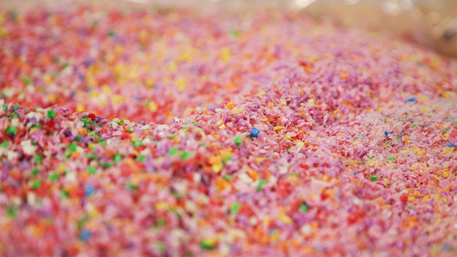 Fokus på genanvendelse af affald