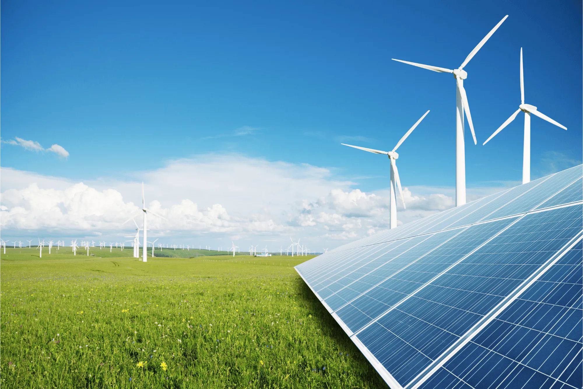 Field with solar panels in the foreground and multiple wind turbines under a blue sky with clouds.