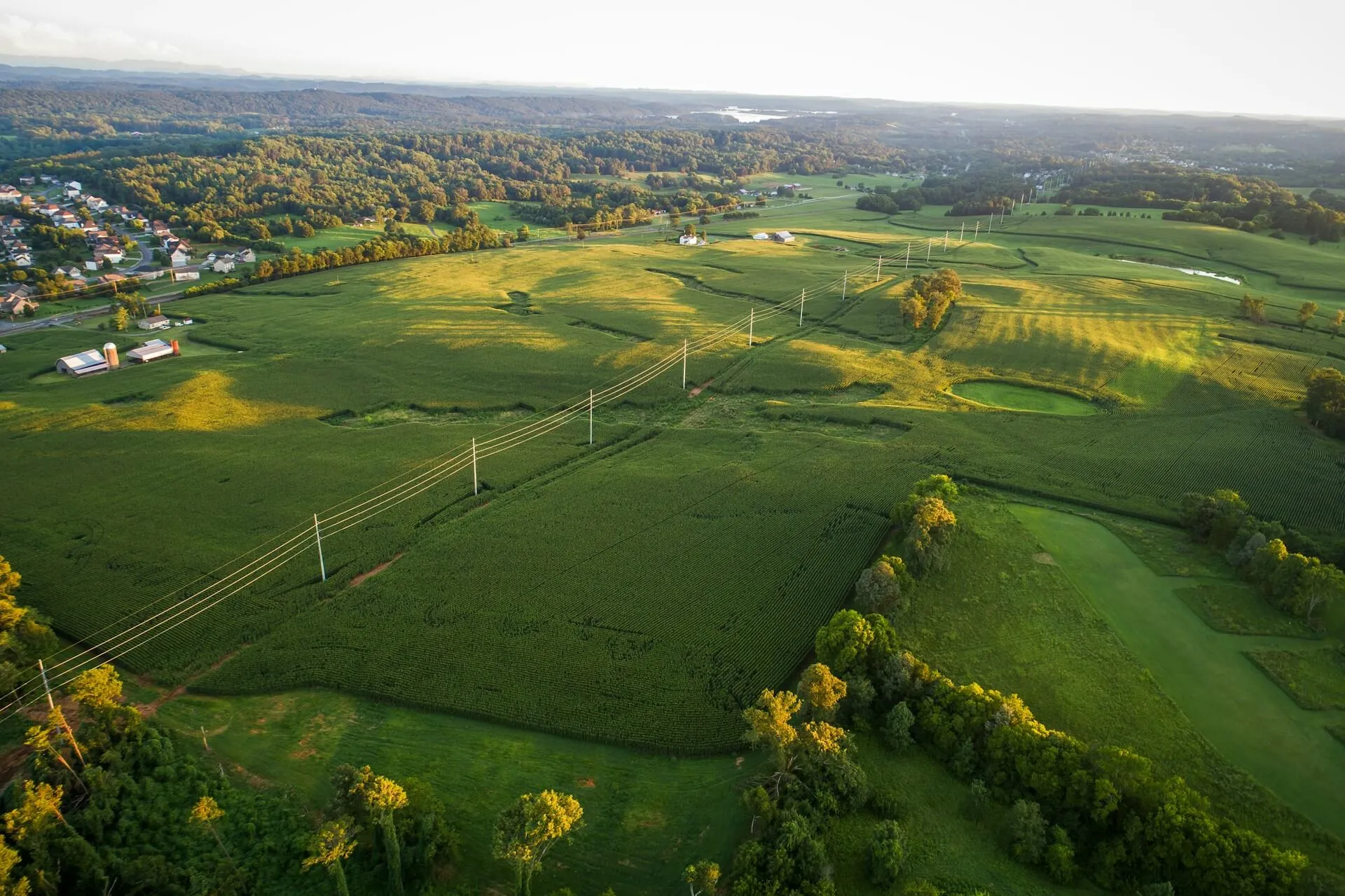 Aerial view of green farmland with power lines running through, bordered by trees and a nearby residential area.
