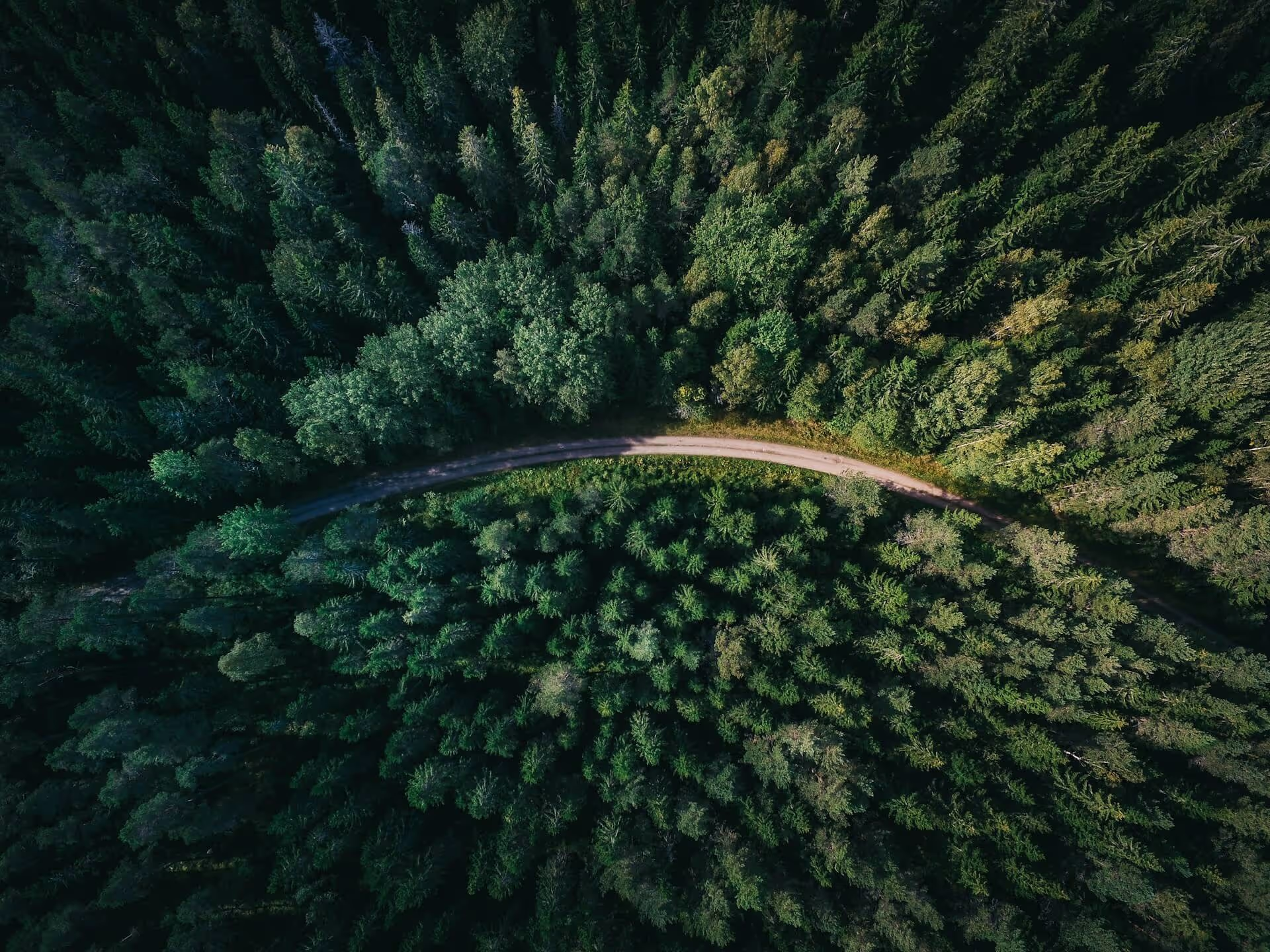A winding dirt road running through a dense green forest, viewed from above.