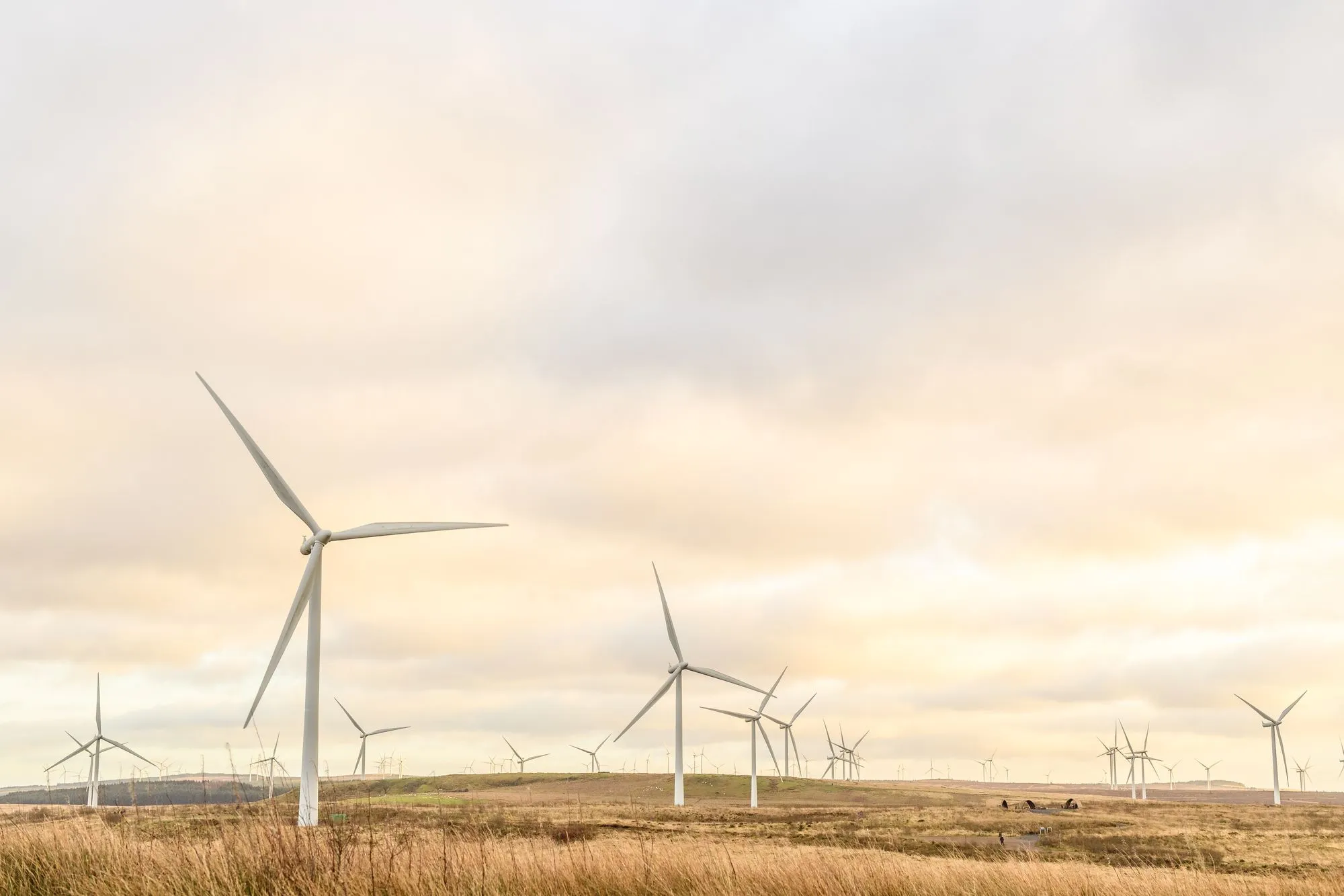 Wind turbines spread across a grassy plain under a cloudy sky at sunset.