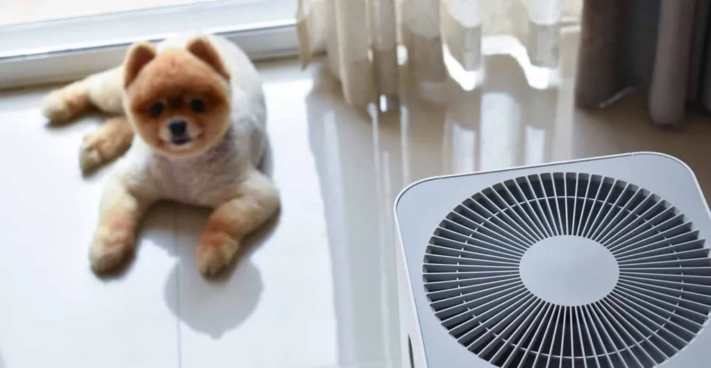 Small dog with a trimmed coat lying on a shiny floor near a white air purifier.