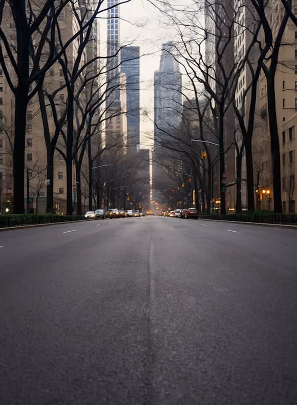 Empty city street lined with leafless trees and tall buildings on both sides during a cloudy day.