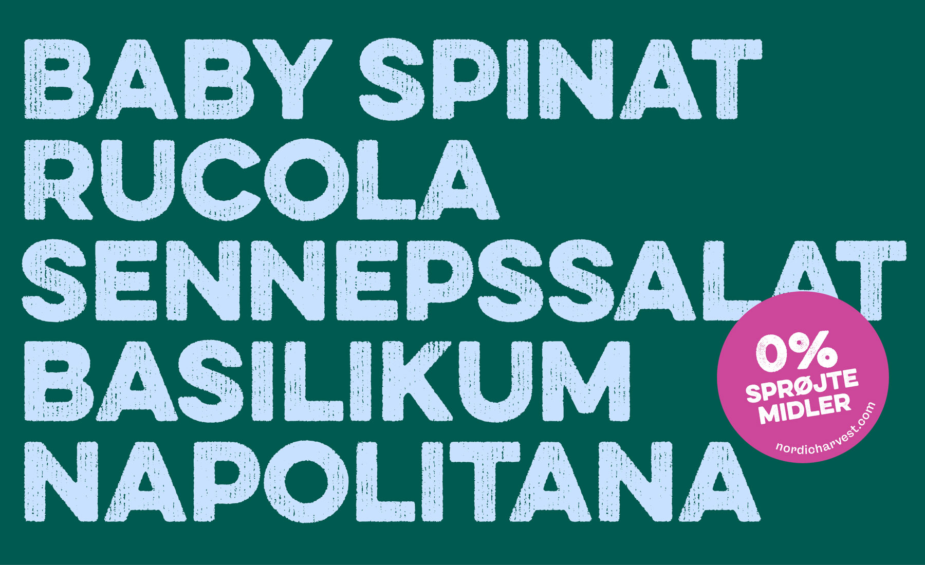 the different vegetables and what dishes you can achieve with them