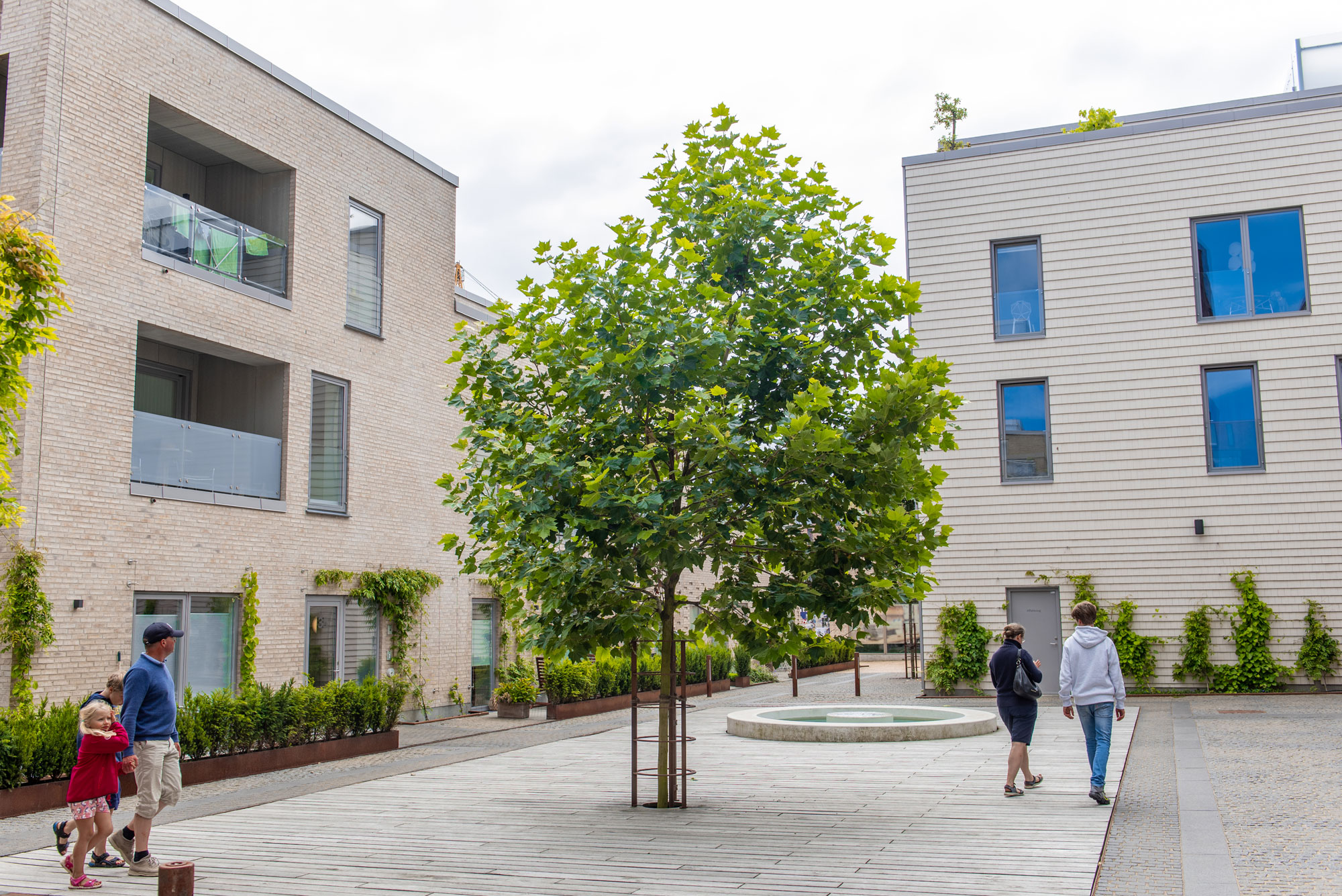 A black bicycle parked next to a plant bed.